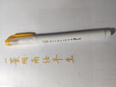 ZEBRA日本斑马brush双头荧光标记水彩笔套装学生用彩色软毛笔手账英文花体字淡色水彩笔WFT8 金色/MGO 实拍图