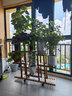 花憩小筑  花架实木花架子阳台落地式吊兰绿萝盆栽植物架现代简约客厅多层 蒸蒸日上升级款/带卡扣轮子护栏 实拍图