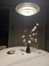 诺乐适（Nordlux） 丹麦设计师轻奢艺术飞碟餐厅吊灯现代简约轻奢吊灯 bretagne单只 实拍图