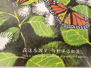 迁徙的蝴蝶 中英双语绘本用诗一般的画笔记录大自然的迁徙奇迹亲近自然新宫晋作品3-6岁 实拍图