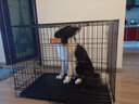 宠乐乖狗笼猫笼 狗笼子中大型犬加粗加密带厕所狗窝家用折叠兔笼宠物笼 黑色精品工艺特粗加密90*55*65cm 实拍图