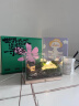 丘辰苔藓微景观生态瓶办公室内桌面摆件DIY造景绿植盆栽男女生日礼物 诗和远方（触摸式开关） 晒单实拍图