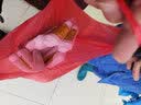 播种心情室外庭院花卉野花组合种子多年生四季阳台盆栽公园花海花籽孑混色 波斯菊种子一斤 实拍图
