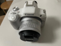 佳能（Canon）EOS R50微单相机 4K数码高清旅游vlog视频 小型便携 r50直播照相机 R50白色18-45 STM镜头套机 套餐一【含64G卡 相机包 799电池大礼包等】 晒单实拍图