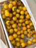 京鲜生 黄千禧 柠黄蜜茄 樱桃番茄 净重1.5kg 生鲜水果 实拍图