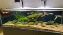 Hydlex日本圣太科加热棒鱼缸26年新款水族箱淡水海水通用变频红圈加温棒 圣太科新款红圈版加热棒600W 实拍图