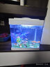 SEA STAR生态海 星小鱼缸客厅小型水族箱创意迷你玻璃家用懒人造景LED灯 320F经济套装（带20件套） 实拍图
