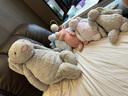 Jellycat害羞银色邦尼兔动物毛绒玩偶安抚潮玩娃娃送礼520礼物 银色 Really Big 实拍图