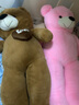 乐怡萱毛绒玩具泰迪熊大熊猫公仔布娃娃熊玩偶抱抱枕熊送女生情人节礼物 粉色LOVE 1.2米（+玫瑰花） 实拍图