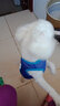 |夏季宠物背心 泰迪狗衣服 猫衣服 雪纳瑞比熊宠物衣服装中小型犬狗狗网格布透气卡通可爱T恤 蓝色机器猫 L适合胸围40cm背长33cm体重8斤内 实拍图