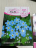 花友秀 花卉种子 四季种植 家庭阳台 园艺休闲 勿忘我花卉种子300粒 实拍图