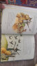 Illustrated Classics The Secret Garden & other stories 进口故事书 实拍图