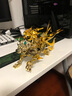 万代（BANDAI） 圣衣神话EX 黄金圣斗士黄金魂 手办模型玩具 黄金魂 狮子座艾欧利亚 18cm 实拍图
