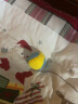日本多格漫狗狗玩具球形玩具网球玩具坚韧轻巧浮力球 浮力球 超小号三个装 晒单实拍图