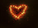 青苇 LED电子蜡烛灯玫瑰花瓣套装情人节表白求婚用品装饰婚房布置 实拍图