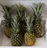 果恋汇（GUOLIANHUI）海南金钻凤梨新鲜当季热带水果手撕无眼香水菠萝树上熟整箱超甜 9斤装大果(4-5个) 实拍图
