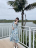 香影小清新v领碎花连衣裙女2025夏季新款木耳边蓝色泡泡袖雪纺裙 蓝色 M 实拍图