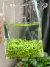 茗杰嫩芽毛尖茶绿茶2025新茶正宗高山新芽花香浓郁味醇耐泡型罐装茶叶 【新品上市】嫩芽毛尖茶500g 实拍图