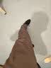 传棨 西裤男修身免烫西服裤商务休闲面试上班西装裤男士职业正装裤子 夏季薄款灰色 28(2.1尺) 实拍图