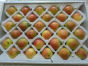 采鲜惠 辽宁南果梨 2.5kg礼盒装 酒香南国梨新鲜梨子水果 实拍图