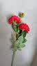 花艺赫家饰牡丹仿真花绢花室内假花干花玫瑰花花束餐桌花摆设客厅装饰花摆件 红色西洋玫瑰【5支】 实拍图