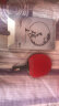 双鱼 三星黑碳王(京仓速发/专业碳素)乒乓球拍  横拍单拍 实拍图
