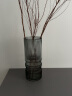 盛世泰堡玻璃花瓶摆件水培透明水养植物插花水培容器客厅装饰直筒款1220 实拍图