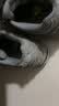 NEW BALANCE  NB1906R 官方秋冬男女情侣舒适百搭通勤轻便厚底休闲运动老爹鞋 灰色 M1906RB 37 (脚长22.5cm尺码详询客服) 实拍图