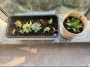 花沃里 花盆长方形带托盘（2个装）阳台种菜箱 种菜盆种子育苗种植箱香葱蔬菜花卉树脂一体盆 米白色(大号) 实拍图