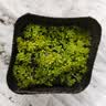 若绿真便宜多肉好养老桩绿植花卉小苗肉肉花植物小盆栽清棚 黄金万年草 不含盆 实拍图