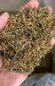 保银 信阳毛尖红茶茶叶新茶明前特级头采嫩芽优选金芽醇香红茶 500g高端礼盒 实拍图