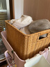 ken's 大号卧室衣物毛巾拖鞋收纳筐塑料藤编北欧风储物篮书报整理筐 浅咖色35*25*18cm双编 实拍图