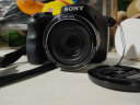 索尼(SONY)  长焦数码照相机HX60 HX400 HX50 H400二手相机索尼长焦卡片机 95新 DSC-H300 35倍光学变焦 实拍图