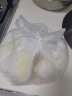绿食者 新鲜玉兰菜500g 金玉兰苦白菜菊苣比利时芽球蔬菜 西餐沙拉食材 实拍图