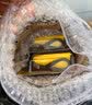 田岛（TAJIMA）日本田岛卷尺5米公英制钢卷尺测量尺子圈尺公制英寸2米3.5米7.5米 3.5米-16mm宽 公英制 实拍图