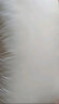 雅鹿·自由自在 磨毛双人加长枕头芯 成人颈椎枕情侣枕1.5米整头长条款一个 白色 实拍图