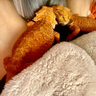 REPTIZOO陆龟饲养箱爬宠缸鬃狮变色龙蜥蜴守宫玻璃爬缸爬虫箱【RK饲养缸】 90x45x32CM【RK0118】 实拍图
