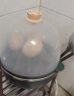 九阳（Joyoung）煮蛋器多功能智能蒸蛋器一键启动 7个蛋量 ZD7-GE130 晒单实拍图