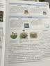 盆栽花园——阳台微型花境设计（庭要素） 实拍图