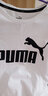 彪马（PUMA）短袖T恤男秋季运动服时尚logo圆领跑步休闲半袖上衣 596535-02/白色/大logo L 实拍图