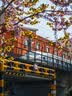 永诺（YONGNUO）50mmF1.8S大光圈镜头小痰盂适用索尼E卡口全画幅APS-C半画幅人像定焦微单镜头 50/1.8 E卡口 C画幅 二代+UV镜 标配 实拍图