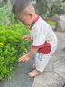 禾泱泱婴幼儿三益菌A2酸奶溶豆混合莓果味13.5g宝宝零食含益生菌 实拍图
