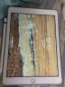 宜丽客（ELECOM） 苹果iPad pro2021类纸贴膜air5平板电脑类纸膜高级纸 高级纸9.7英寸适用于iPad 2018 实拍图