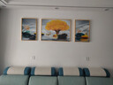 Sixpoetry 客厅装饰画现代简约沙发背景墙壁画轻奢三联晶瓷画大气高档挂画 福禄相伴（铝合金外框） 晶瓷画左右40*60+中间80*60亮面 实拍图