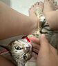 柒哦猫咪项圈长命锁新年装饰编织猫围脖项链宠物脖子配饰脖圈铃铛饰品 红绳【猫爪】 猫狗通用（17-32cm）可调节项圈 实拍图