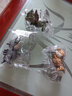趣然趣然咬手指恐龙儿童玩具男孩网红侏罗纪霸王龙三角沧龙迷你小恐龙 1只装【白垩纪棘背龙】 实拍图