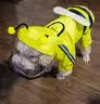 CHU XING JIA 狗狗雨衣全包卡通防水四脚幼犬秋冬宠物衣服泰迪透明雨衣宠物 可爱蜜蜂L（胸围53cm背长37cm 实拍图