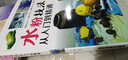 正版 水粉技法从入门到精通水粉画教程水彩教材入门儿童成人手绘素描绘画入门自学零基础书籍 实拍图