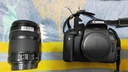 佳能/Canon 600D 700D 750D 760D 800D 850D二手单反相机新手学生入门旅游高清相机 750D+18-135 IS STM【套机】 准新 实拍图