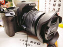佳能/Canon 600D 650D 700D 800D套机入门级单反照相机数码高清旅游 二手单反 9新 佳能450D 18-55 套机 标配 实拍图
